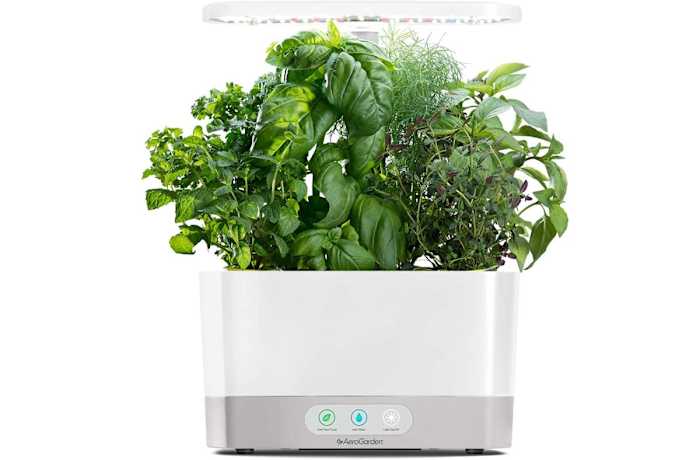 Indoor Hydroponic Garden